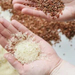 Is Quinoa Gluten Free? The Unsettling Truth Behind This “Safe” Superfood
