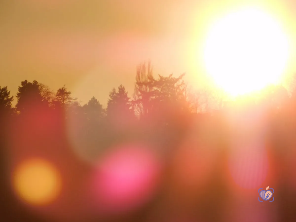 The Silky Smooth Lie: Is Dimethicone Secretly Ruining Your Skin?