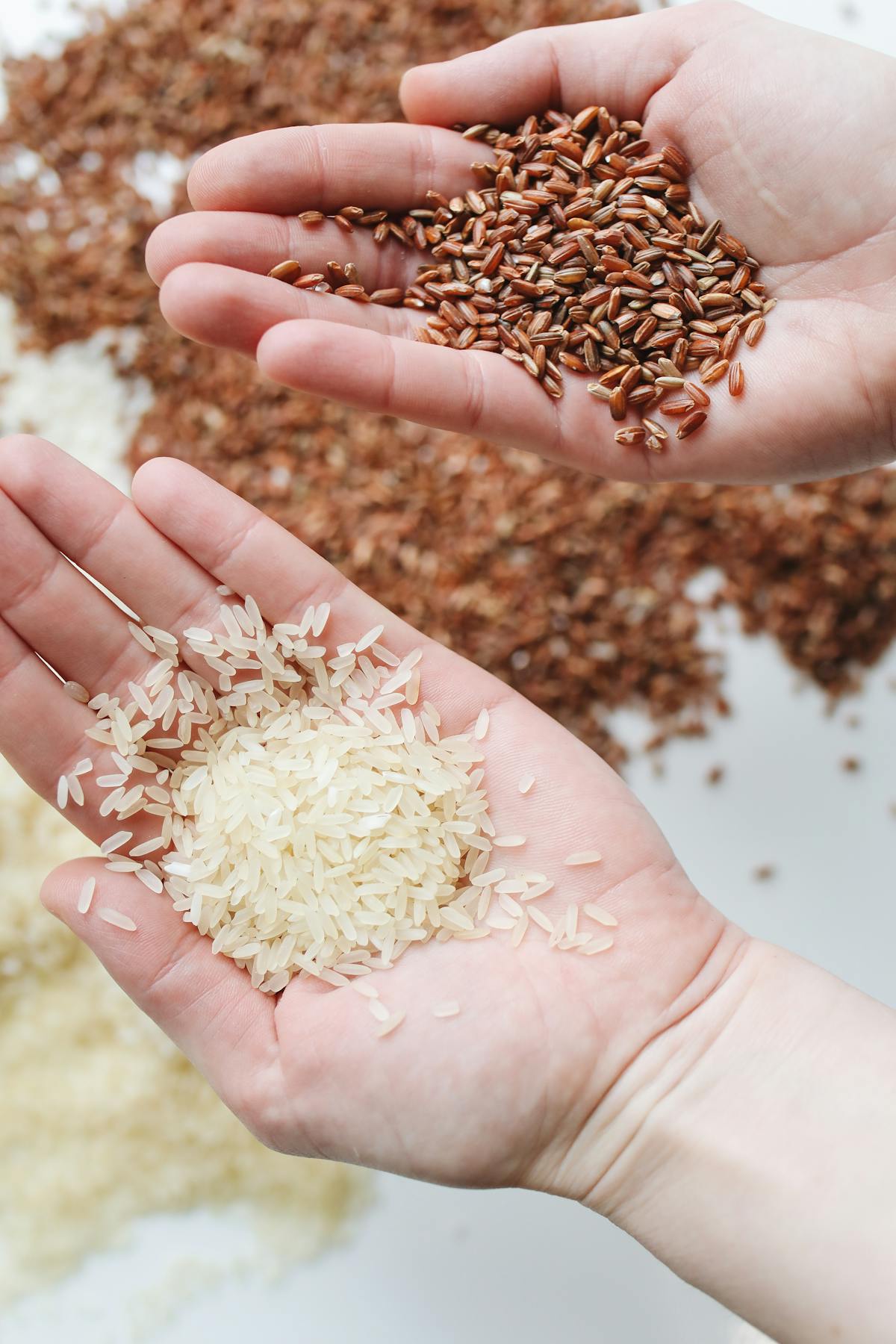 Does Rice Have Gluten? The Unseen Dangers & The Truth About Your Safety
