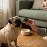 Can Dogs Eat Broccoli? Benefits, Risks, and Label Truths