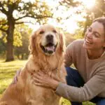 Can Dogs Eat Tomatoes? Pet Food Labels Explained